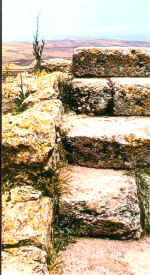 wpe2C.jpg (217619 octets)